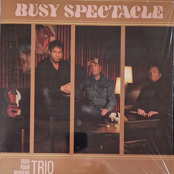 https://www.discogs.com/release/36542818-SkovRoarRifbjerg-Trio-Busy-Spectacle